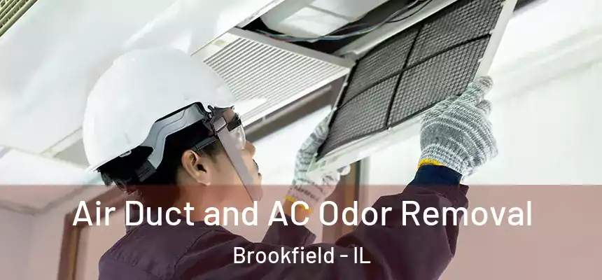  Air Duct and AC Odor Removal Brookfield - IL