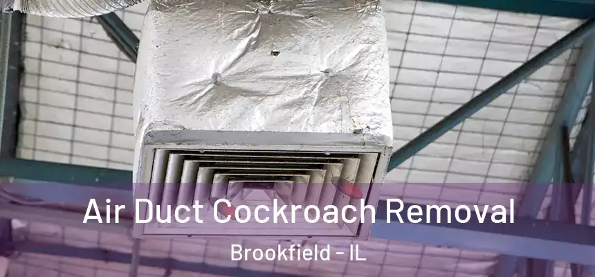  Air Duct Cockroach Removal Brookfield - IL