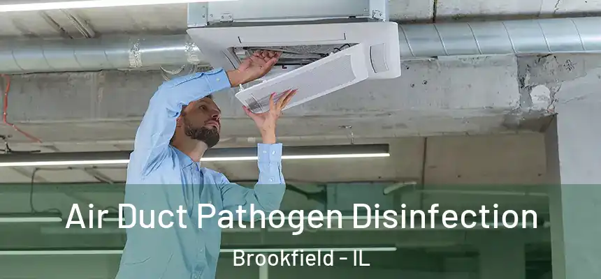 Air Duct Pathogen Disinfection Brookfield - IL