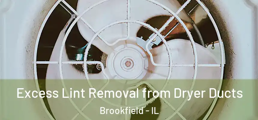  Excess Lint Removal from Dryer Ducts Brookfield - IL