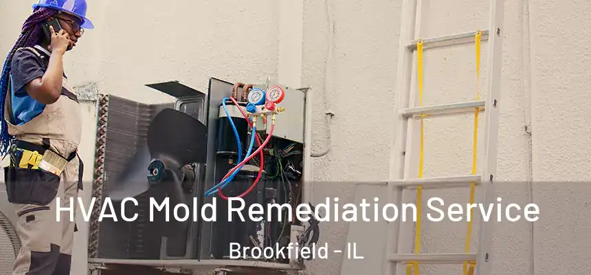 HVAC Mold Remediation Service Brookfield - IL