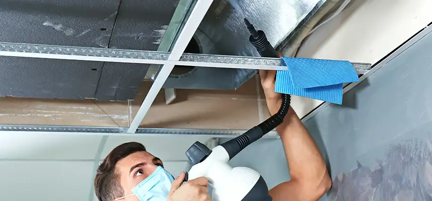 Our Air Duct Rodent Removal Services in Brookfield, IL