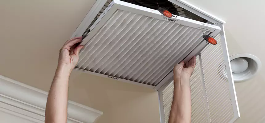 Our Insect Removal from Air Ducts Services in Brookfield, IL