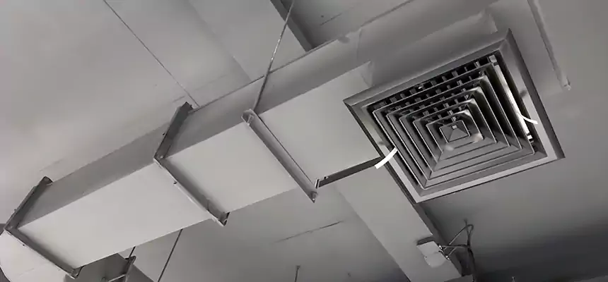 Our Pest Removal From Ducts Services in Brookfield, IL