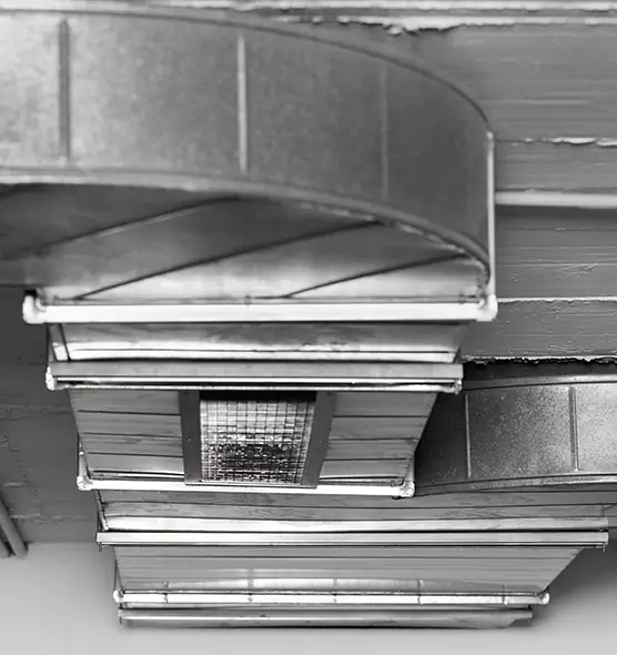 Professional Air Duct Pest Removal in Brookfield, IL