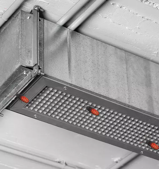 Affordable Insect Removal from Air Ducts in Brookfield, IL