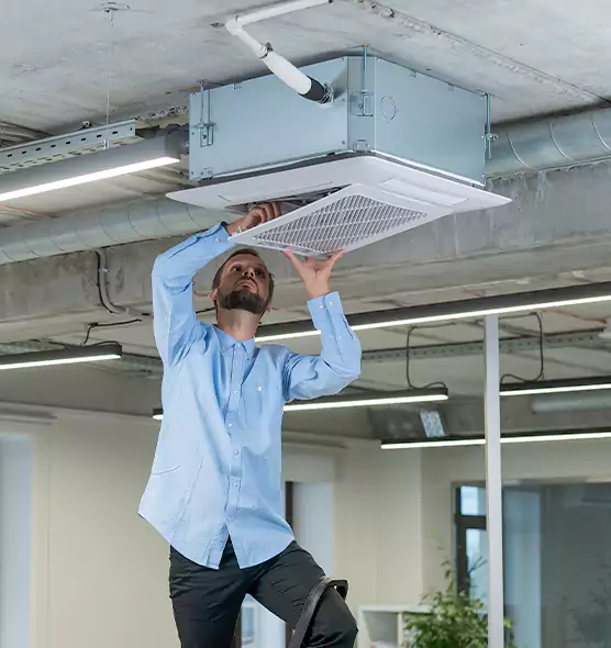 Advanced Rodent Droppings In Vents in Brookfield, IL