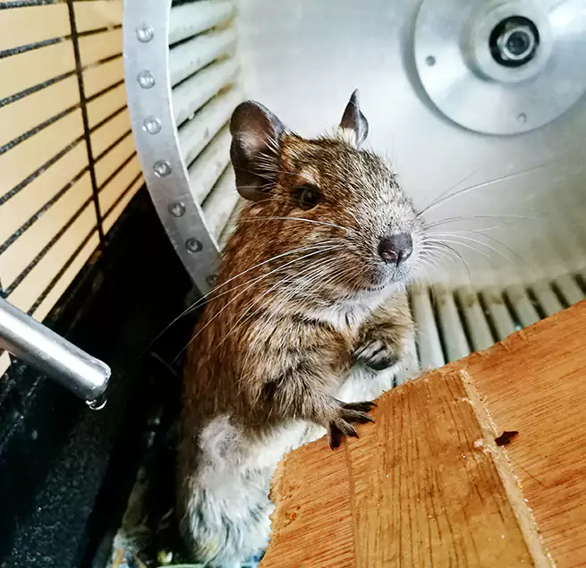 Why Homeowners & Businesses Trust Us Brookfield, IL