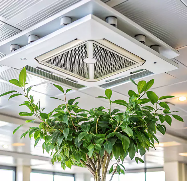 Why Homeowners & Businesses Trust Us in Brookfield, IL?