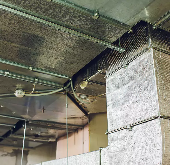 Why Homeowners & Businesses Trust Us in Brookfield, IL?